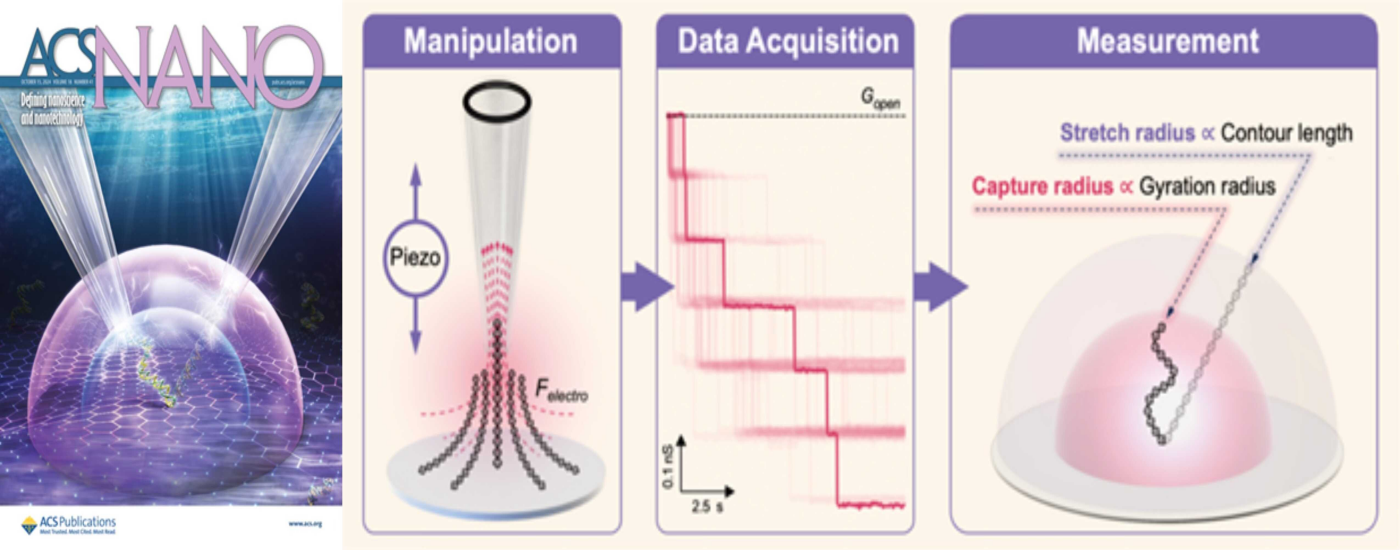 Chongqing Institute Makes New Progress in the Field of Single-Molecule Manipulation