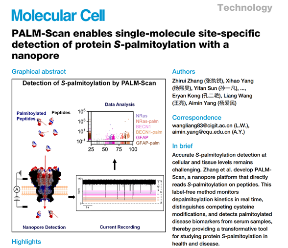 《Molecular Cell》PALM-Scan: Single-molecule site-specific detection of protein S-palmitoylation with a nanopore